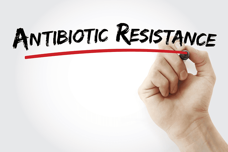 World Antimicrobial Awareness Week: l’antibiotico-resistenza e il ruolo dei farmacisti