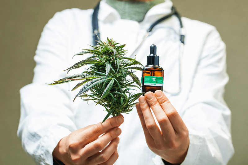 Cannabis medica, le nuove sfide