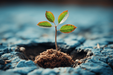 Nella settimana 7 la farmacia tenta il recupero: Rx positivo, risale la Libera Vendita