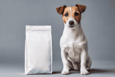 QBerg: la veterinaria guadagna spazio nelle farmacie online