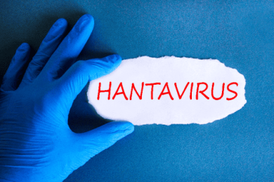 Hantavirus: rischio molto basso. Ma l’Italia sarebbe pronta di fronte a una nuova emergenza sanitaria?