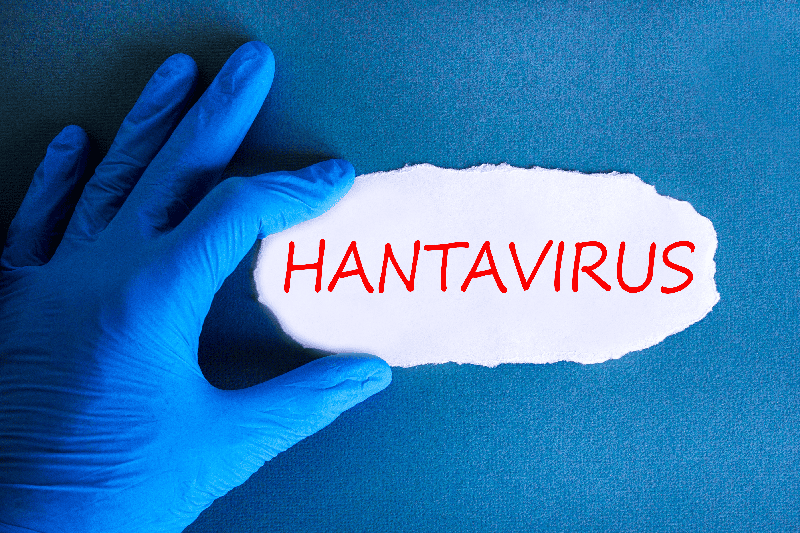 Hantavirus: rischio molto basso. Ma l’Italia sarebbe pronta di fronte a una nuova emergenza sanitaria? Hantavirus: rischio molto basso. Ma l’Italia sarebbe pronta di fronte a una nuova emergenza sanitaria?